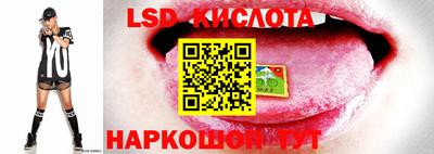ГАЛЛЮЦИНОГЕННЫЕ ГРИБЫ Бузулук
