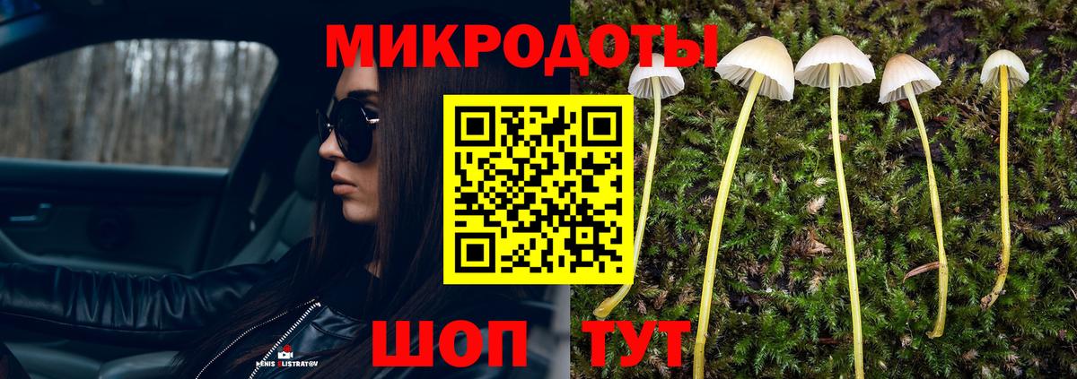 Псилоцибиновые грибы прущие грибы  Вход с VPN  Назрань 